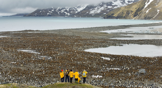 Antarctica